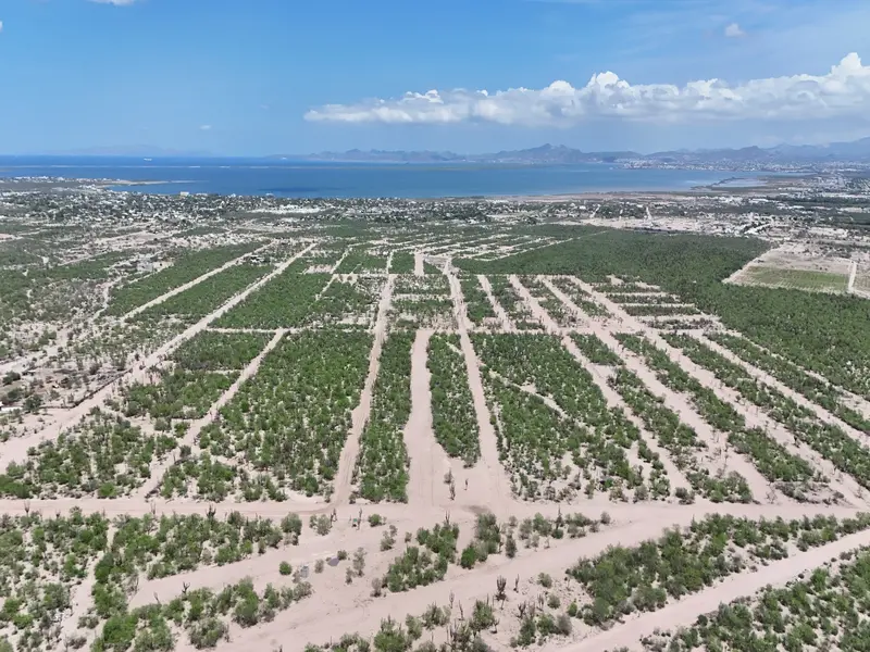 Vista panorámica del terreno