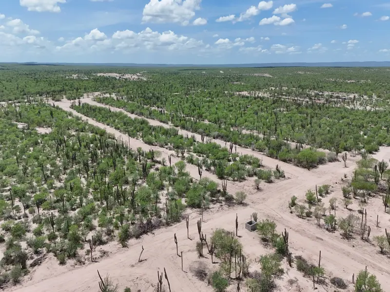 Topografía del terreno