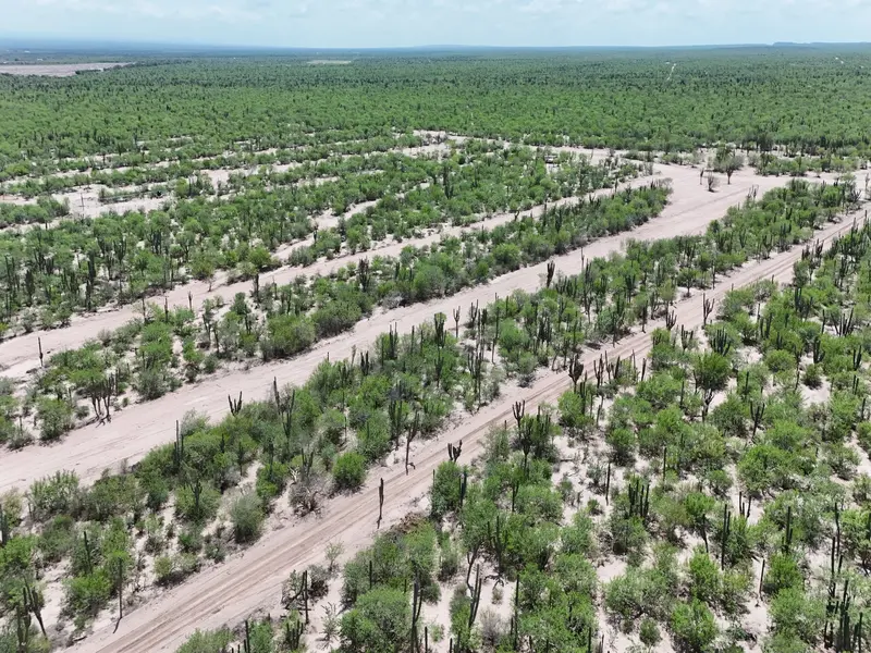 Vista hacia la ciudad de La Paz
